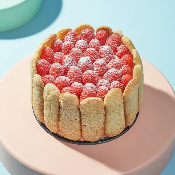Charlotte cake with raspberries and icing sugar on a pink pedestal